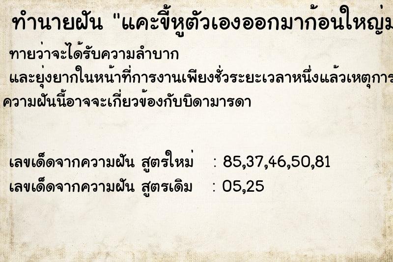 ทำนายฝันแคะขี้หูตัวเองออกมาก้อนใหญ่มาก ทำนายฝันทำนายฝันแคะขี้หูตัวเองออกมาก้อนใหญ่มาก