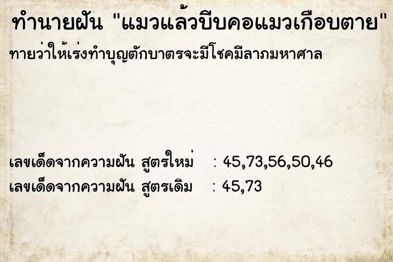 ทำนายฝันทำนายฝันแมวแล้วบีบคอแมวเกือบตาย