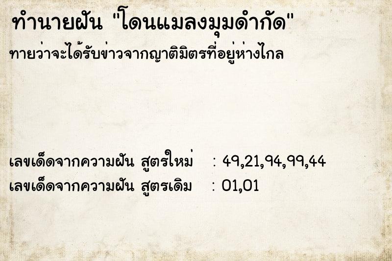 ทำนายฝันทำนายฝันโดนแมลงมุมดำกัด