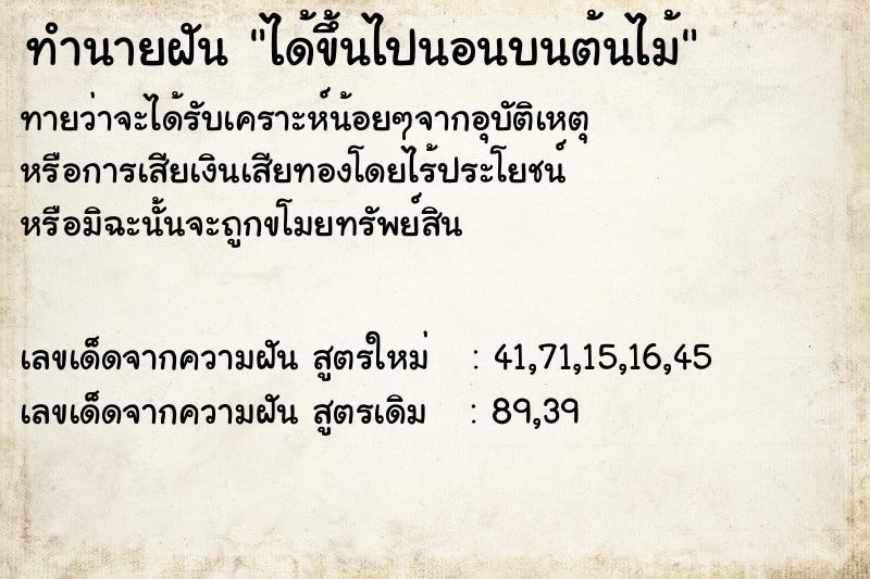 ทำนายฝันได้ขึ้นไปนอนบนต้นไม้ ทำนายฝันทำนายฝันได้ขึ้นไปนอนบนต้นไม้
