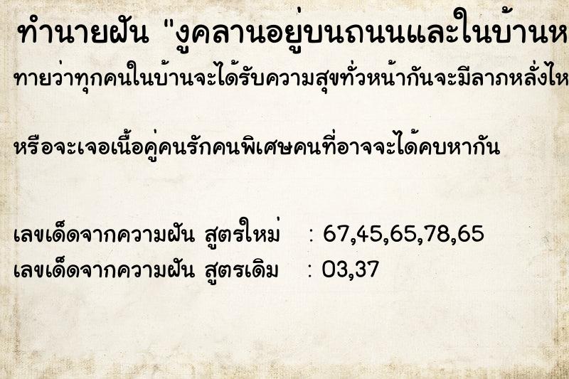 ทำนายฝันงูคลานอยู่บนถนนและในบ้านหลังหนึ่งหลายตัว ทำนายฝันทำนายฝันงูคลานอยู่บนถนนและในบ้านหลังหนึ่งหลายตัว