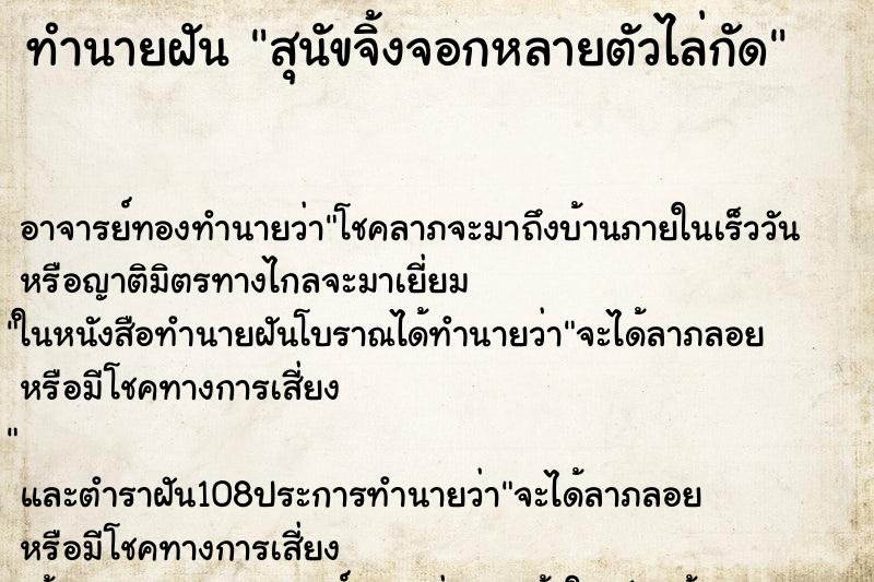 ทำนายฝันสุนัขจิ้งจอกหลายตัวไล่กัด ทำนายฝันทำนายฝันสุนัขจิ้งจอกหลายตัวไล่กัด