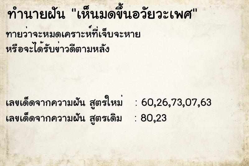 ทำนายฝัน เห็นมดขึ้นอวัยวะเพศ
