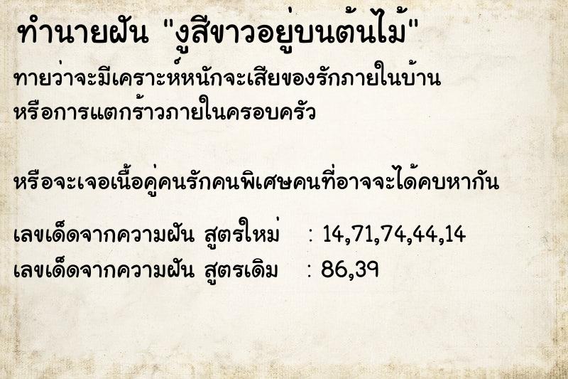 ทำนายฝันงูสีขาวอยู่บนต้นไม้ ทำนายฝันทำนายฝันงูสีขาวอยู่บนต้นไม้