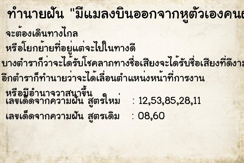 ทำนายฝันมีแมลงบินออกจากหูตัวเองคนฝันเป็นผู้หญิง ทำนายฝันทำนายฝันมีแมลงบินออกจากหูตัวเองคนฝันเป็นผู้หญิง