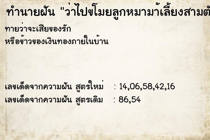 ทำนายฝันว่าไปขโมยลูกหมามา้เลี้ยงสามตัว ทำนายฝันทำนายฝันว่าไปขโมยลูกหมามา้เลี้ยงสามตัว