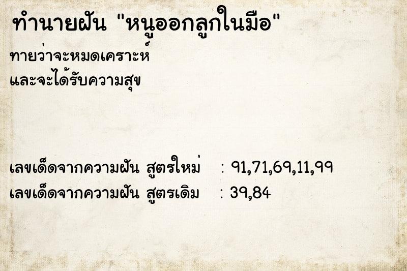 ทำนายฝันหนูออกลูกในมือ ทำนายฝันทำนายฝันหนูออกลูกในมือ