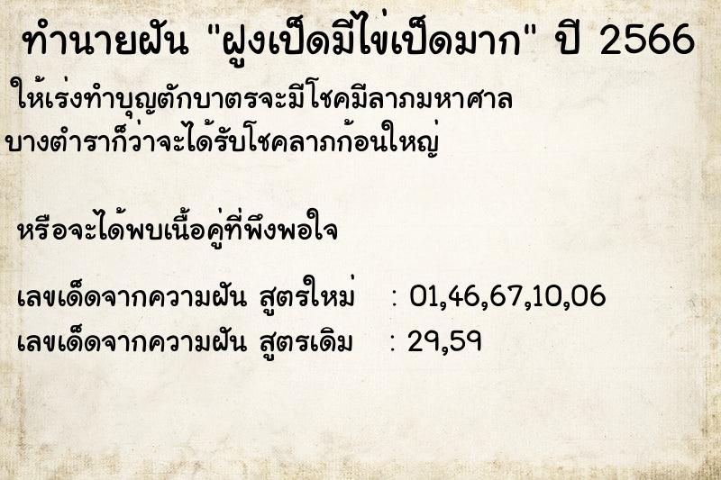 ทำนายฝันฝูงเป็ดมีไข่เป็ดมาก ทำนายฝันทำนายฝันฝูงเป็ดมีไข่เป็ดมาก