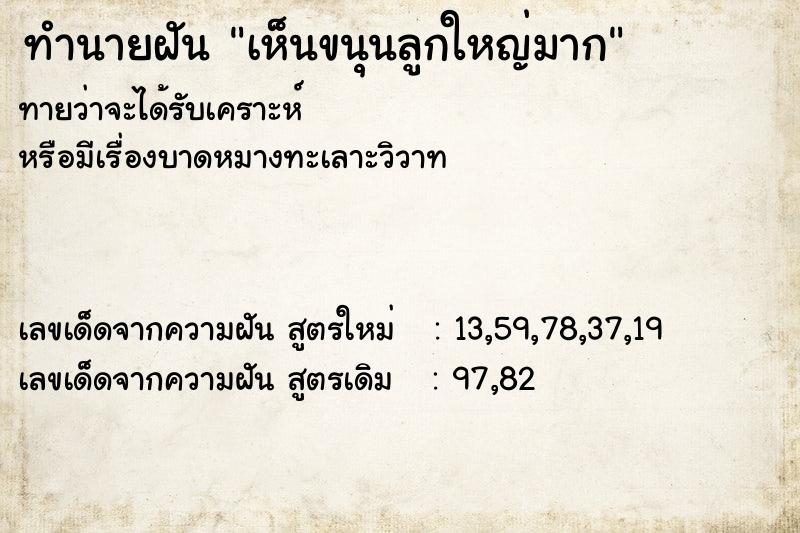 ทำนายฝันทำนายฝันเห็นขนุนลูกใหญ่มาก
