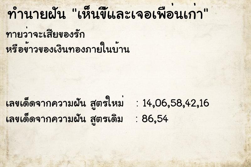 ทำนายฝันเห็นขีัและเจอเพือ่นเก่า ทำนายฝันทำนายฝันเห็นขีัและเจอเพือ่นเก่า