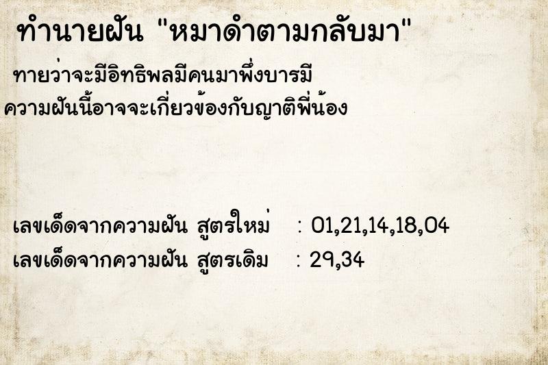 ทำนายฝันหมาดำตามกลับมา ทำนายฝันทำนายฝันหมาดำตามกลับมา