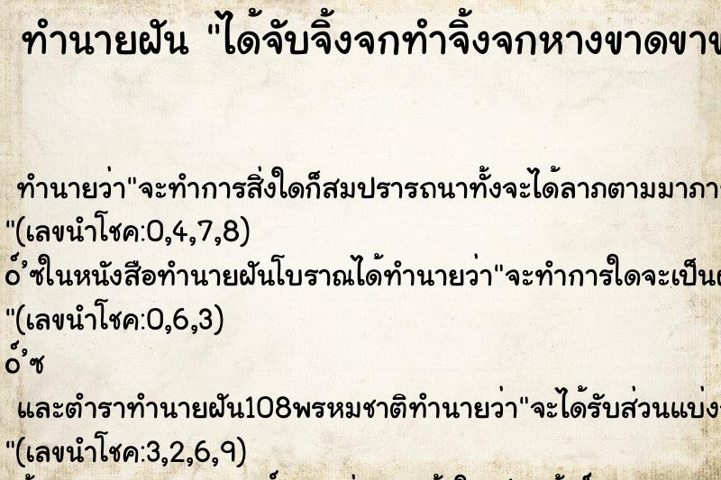 ทำนายฝัน ได้จับจิ้งจกทำจิ้งจกหางขาดขาขาด ทำนายฝัน ได้จับจิ้งจกทำจิ้งจกหางขาดขาขาด