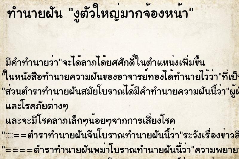 ทำนายฝันงูตัวใหญ่มากจ้องหน้า ทำนายฝันทำนายฝันงูตัวใหญ่มากจ้องหน้า