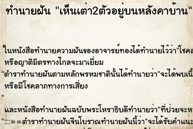 ทำนายฝัน เห็นเต่า2ตัวอยู่บนหลังคาบ้าน ทำนายฝัน เห็นเต่า2ตัวอยู่บนหลังคาบ้าน