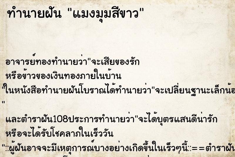 ทำนายฝัน แมงมุมสีขาว