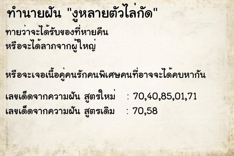 ทำนายฝันทำนายฝันงูหลายตัวไล่กัด