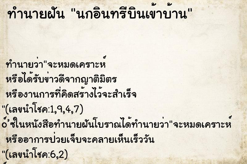 ทำนายฝัน นกอินทรีบินเข้าบ้าน ทำนายฝัน นกอินทรีบินเข้าบ้าน