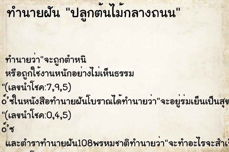 ทำนายฝันปลูกต้นไม้กลางถนน ทำนายฝันทำนายฝันปลูกต้นไม้กลางถนน