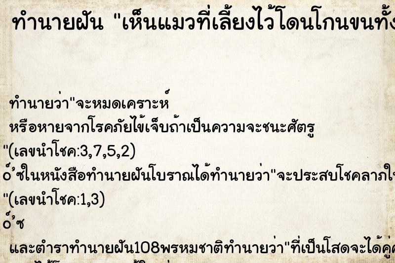 ทำนายฝัน เห็นแมวที่เลี้ยงไว้โดนโกนขนทั้งตัว ตำราโบราณ แม่นที่สุดในโลก