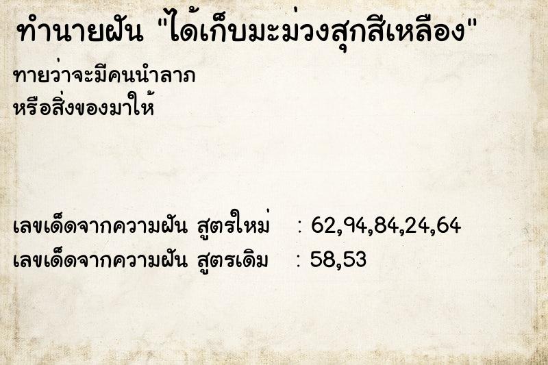 ทำนายฝันได้เก็บมะม่วงสุกสีเหลือง ทำนายฝันทำนายฝันได้เก็บมะม่วงสุกสีเหลือง
