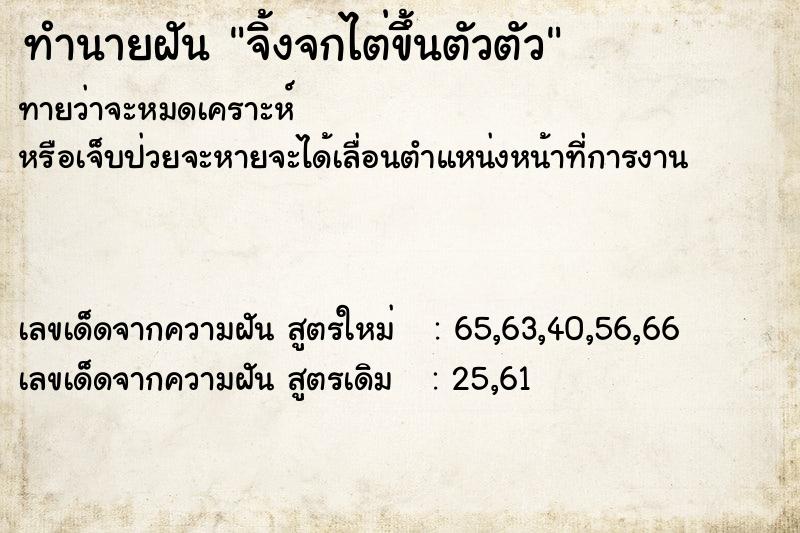 ทำนายฝัน จิ้งจกไต่ขึ้นตัวตัว ทำนายฝัน จิ้งจกไต่ขึ้นตัวตัว