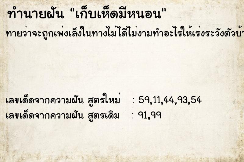 ทำนายฝันเก็บเห็ดมีหนอน ทำนายฝันทำนายฝันเก็บเห็ดมีหนอน