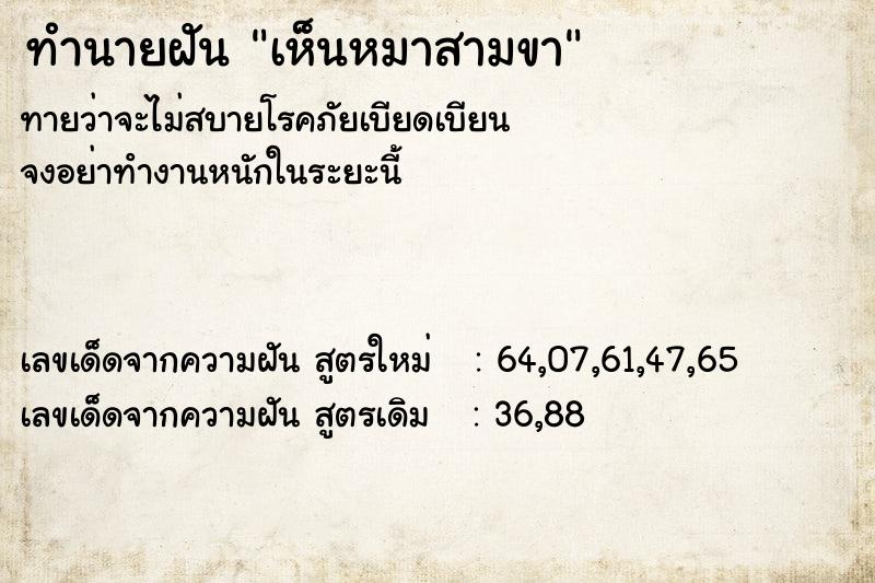 ทำนายฝันเห็นหมาสามขา ทำนายฝันทำนายฝันเห็นหมาสามขา