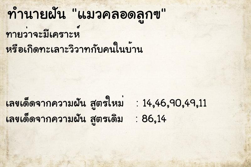 ทำนายฝัน แมวคลอดลูกฃ ทำนายฝัน แมวคลอดลูกฃ