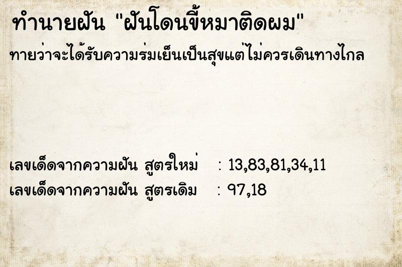 ทำนายฝันทำนายฝันฝันโดนขี้หมาติดผม
