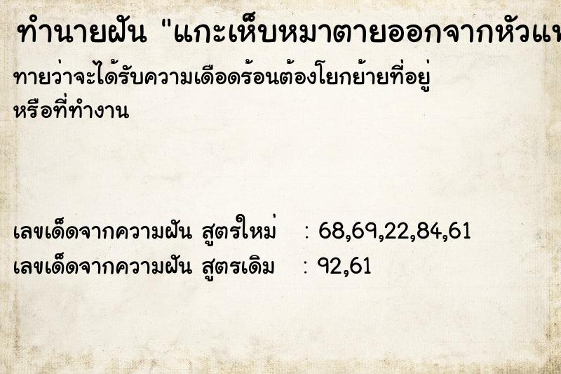 ทำนายฝัน แกะเห็บหมาตายออกจากหัวแฟน ทำนายฝัน แกะเห็บหมาตายออกจากหัวแฟน