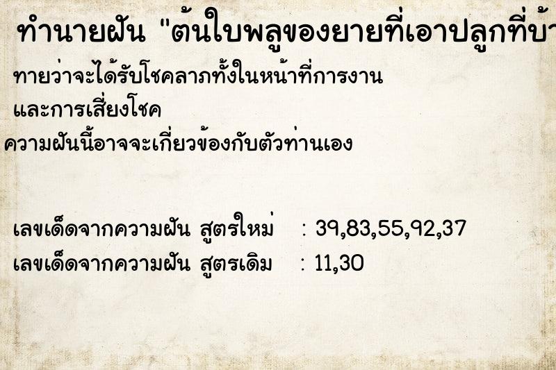 ทำนายฝัน ต้นใบพลูของยายที่เอาปลูกที่บ้านงอกงามมาก ทำนายฝัน ต้นใบพลูของยายที่เอาปลูกที่บ้านงอกงามมาก