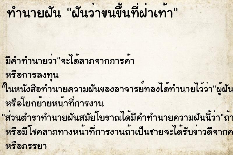 ทำนายฝัน ฝันว่าขนขึ้นที่ฝ่าเท้า ทำนายฝัน ฝันว่าขนขึ้นที่ฝ่าเท้า
