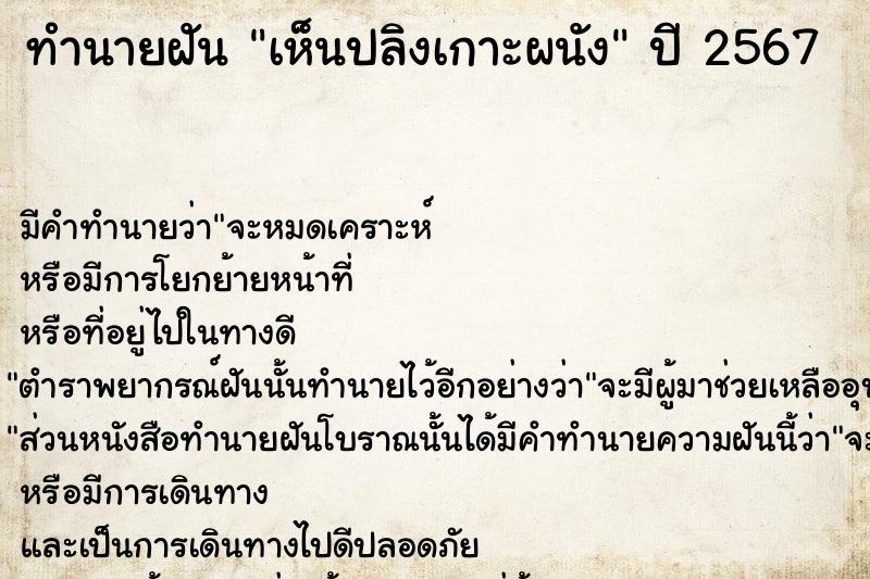 ทำนายฝันทำนายฝันเห็นปลิงเกาะผนัง