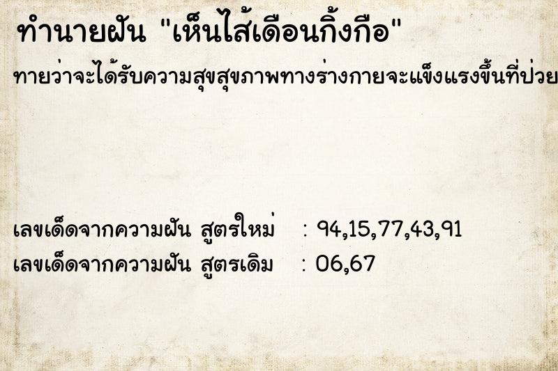 ทำนายฝันเห็นไส้เดือนกิ้งกือ ทำนายฝันทำนายฝันเห็นไส้เดือนกิ้งกือ