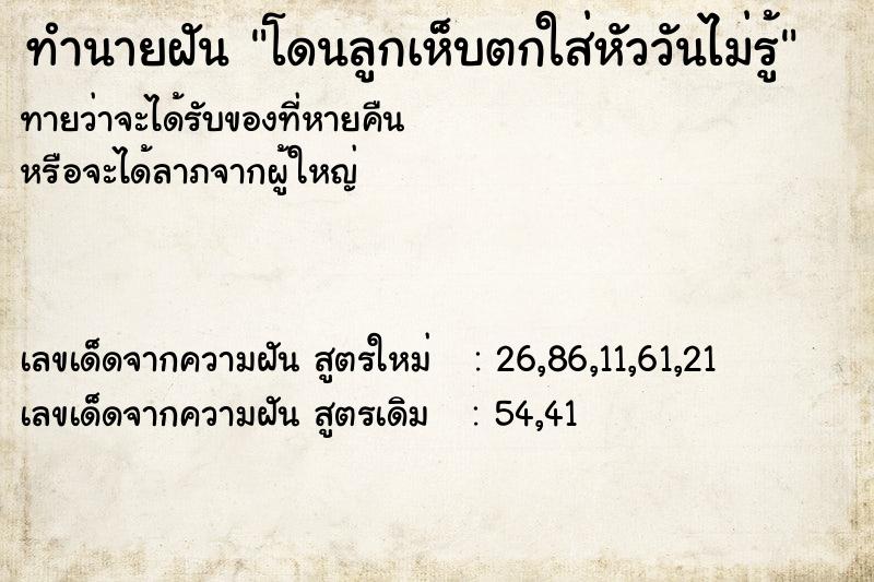 ทำนายฝันทำนายฝันโดนลูกเห็บตกใส่หัววันไม่รู้