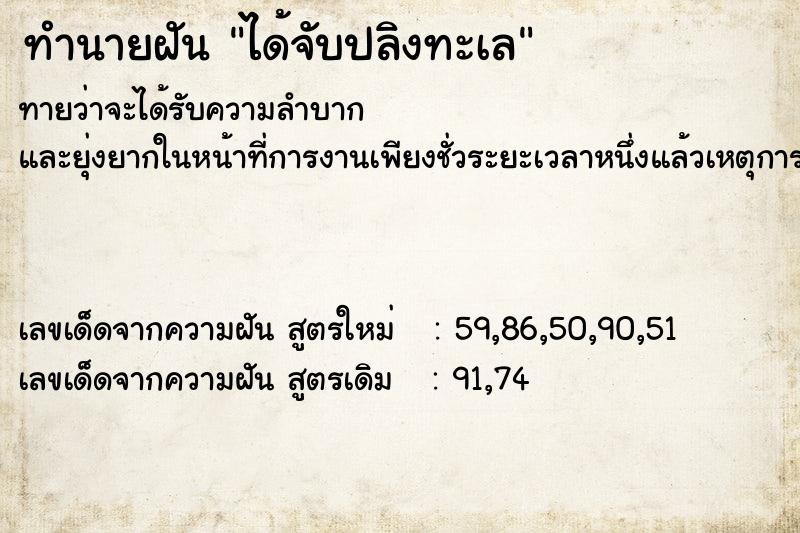 ทำนายฝันได้จับปลิงทะเล ทำนายฝันทำนายฝันได้จับปลิงทะเล