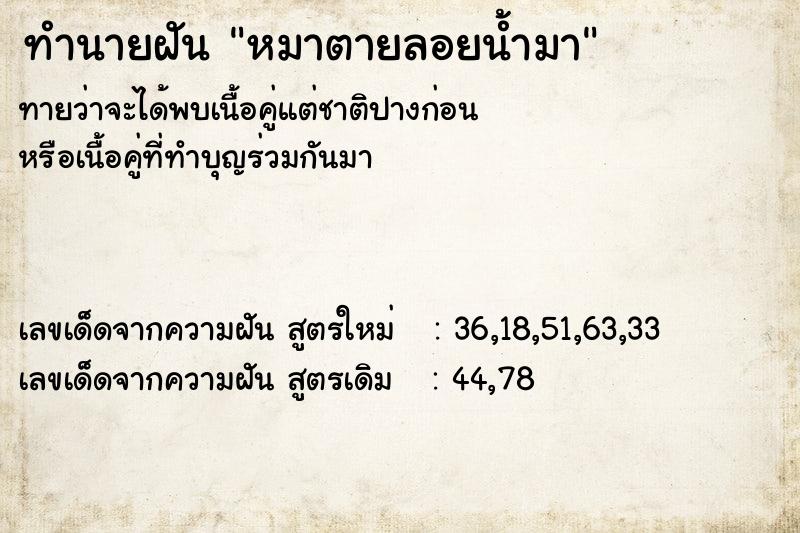 ทำนายฝัน หมาตายลอยน้ำมา ทำนายฝัน หมาตายลอยน้ำมา