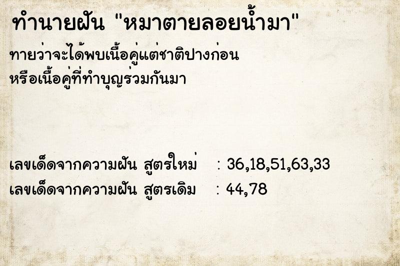 ทำนายฝัน หมาตายลอยน้ำมา ตำราโบราณ แม่นที่สุดในโลก