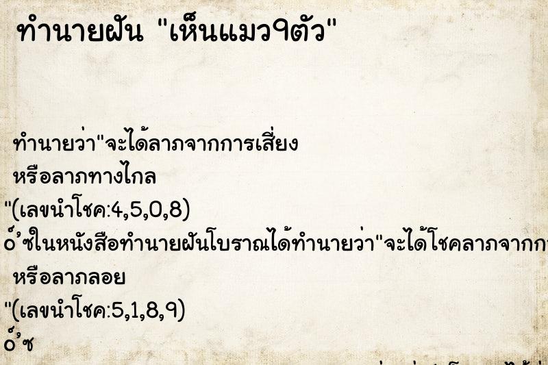 ทำนายฝันเห็นแมว9ตัว ทำนายฝันทำนายฝันเห็นแมว9ตัว