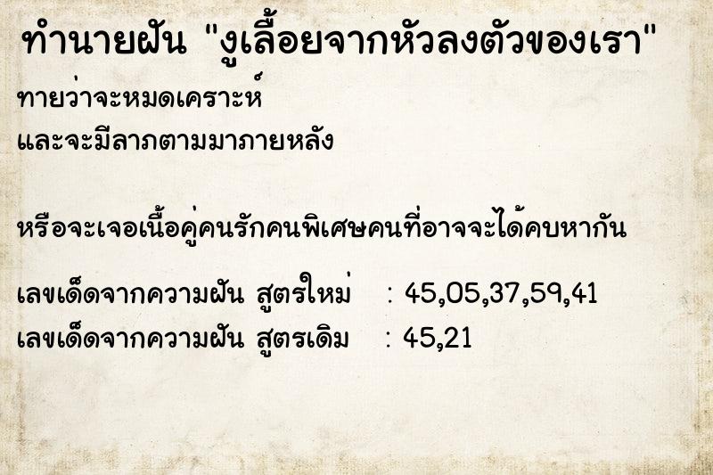 ทำนายฝันงูเลื้อยจากหัวลงตัวของเรา ทำนายฝันทำนายฝันงูเลื้อยจากหัวลงตัวของเรา