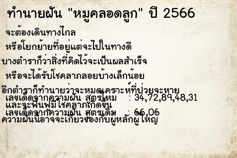 ทำนายฝัน หมูคลอดลูก แม่นๆ ฟรี ด้วยตำราหนังสือทำนายฝันโบราณ ทำนายฝันหมูคลอดลูก