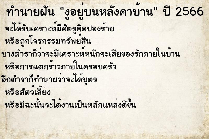 ทำนายฝัน งูอยู่บนหลังคาบ้านแม่นๆ ฟรี ด้วยตำราหนังสือทำนายฝันโบราณ ทำนายฝันงูอยู่บนหลังคาบ้าน