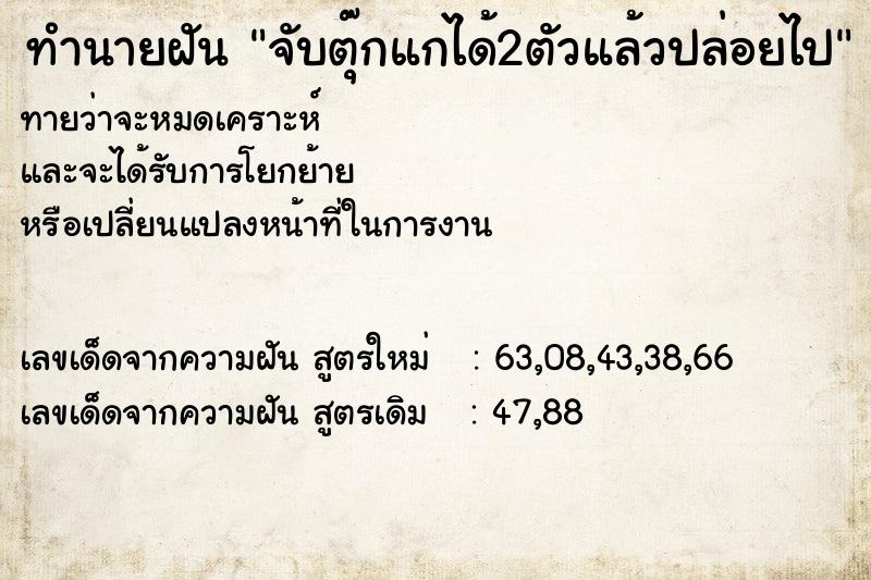 ทำนายฝันจับตุ๊กแกได้2ตัวแล้วปล่อยไป ทำนายฝันทำนายฝันจับตุ๊กแกได้2ตัวแล้วปล่อยไป