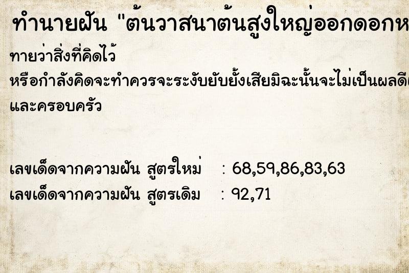 ทำนายฝันทำนายฝันต้นวาสนาต้นสูงใหญ่ออกดอกหลายช่อ