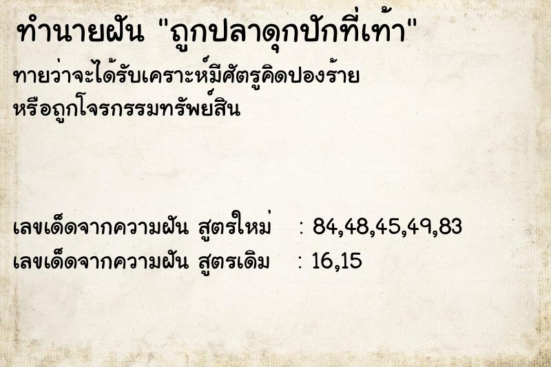 ทำนายฝันทำนายฝันถูกปลาดุกปักที่เท้า