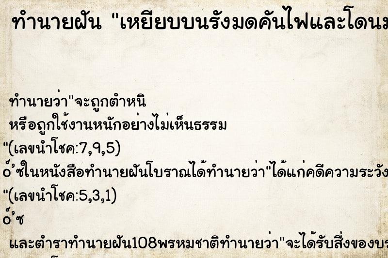 ทำนายฝันทำนายฝันเหยียบบนรังมดคันไฟและโดนมดคันไฟกัด