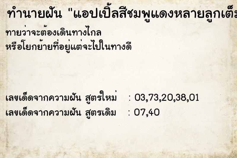 ทำนายฝันแอปเปิ้ลสีชมพูแดงหลายลูกเต็มต้น ทำนายฝันทำนายฝันแอปเปิ้ลสีชมพูแดงหลายลูกเต็มต้น