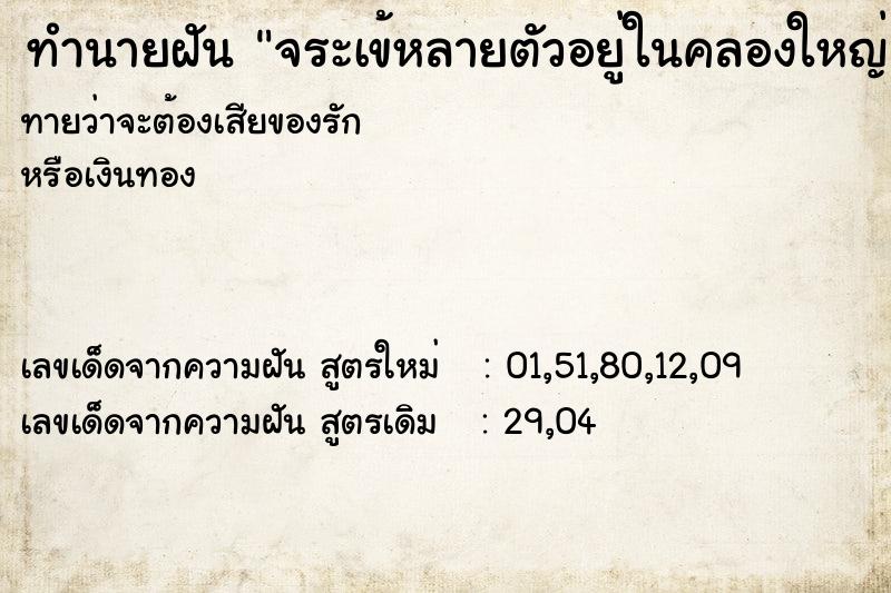 ทำนายฝันจระเข้หลายตัวอยู่ในคลองใหญ่ ทำนายฝันทำนายฝันจระเข้หลายตัวอยู่ในคลองใหญ่