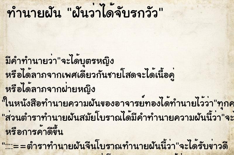 ทำนายฝัน ฝันว่าได้จับรกวัว ทำนายฝัน ฝันว่าได้จับรกวัว