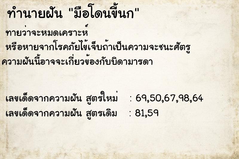ทำนายฝัน มือโดนขี้นก ทำนายฝัน มือโดนขี้นก